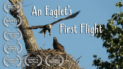 eagle learning.